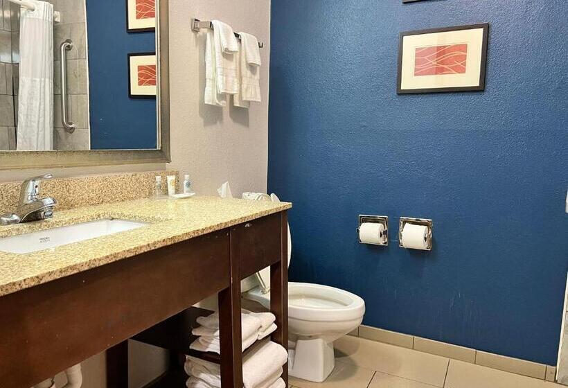 キングサイズベッドのスイートルーム, Comfort Suites Louisville East