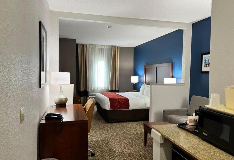 身障者適用スイートルーム, Comfort Suites Louisville East