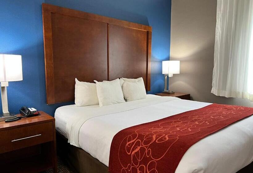 身障者適用スイートルーム, Comfort Suites Louisville East