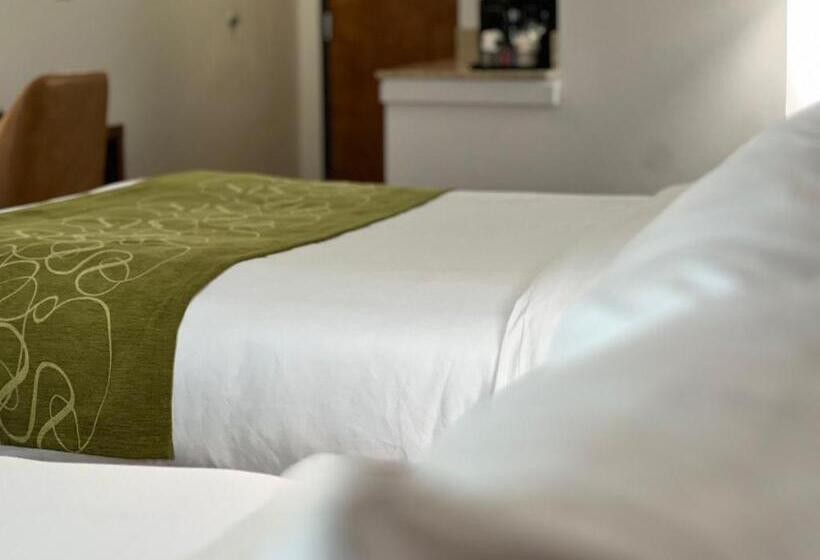 سوییت, Comfort Suites Louisville East
