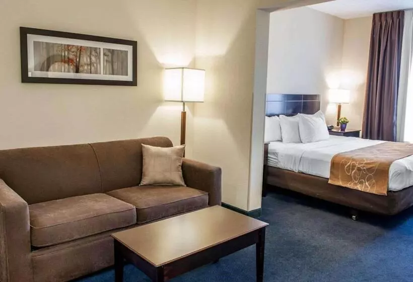 سوئیت با تخت بزرگ, Comfort Suites Fort Wayne   Southwest