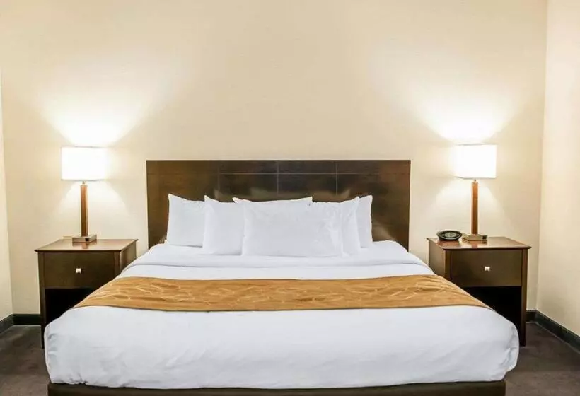 سوئیت با تخت بزرگ, Comfort Suites Fort Wayne   Southwest