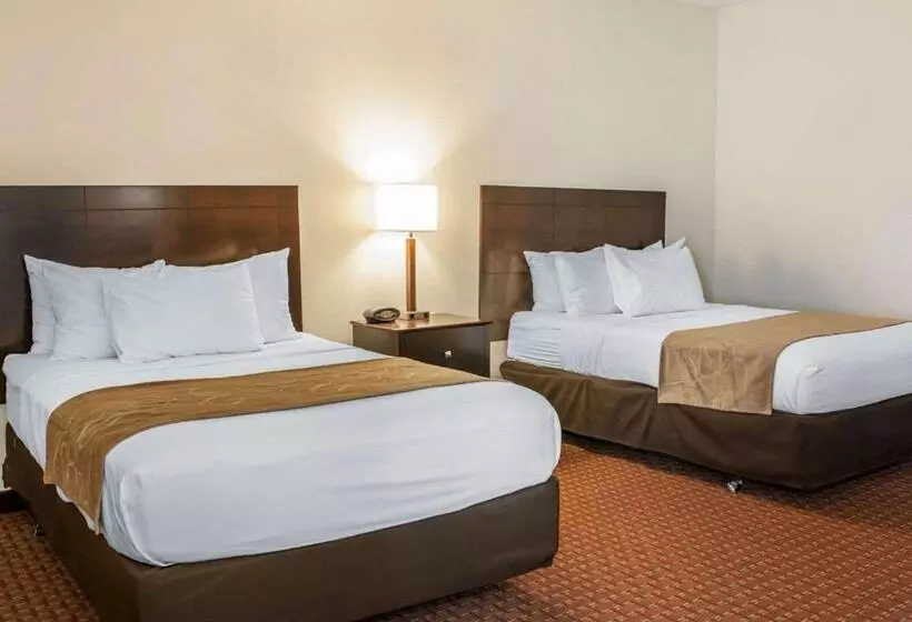 سوییت, Comfort Suites Fort Wayne   Southwest