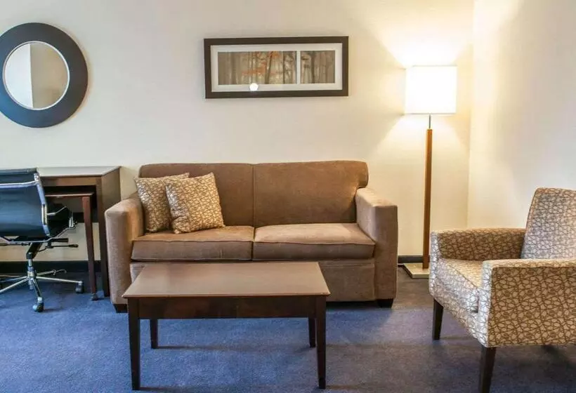 سوییت, Comfort Suites Fort Wayne   Southwest