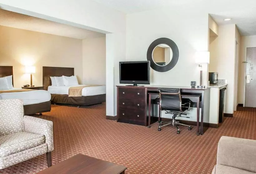 سوییت, Comfort Suites Fort Wayne   Southwest