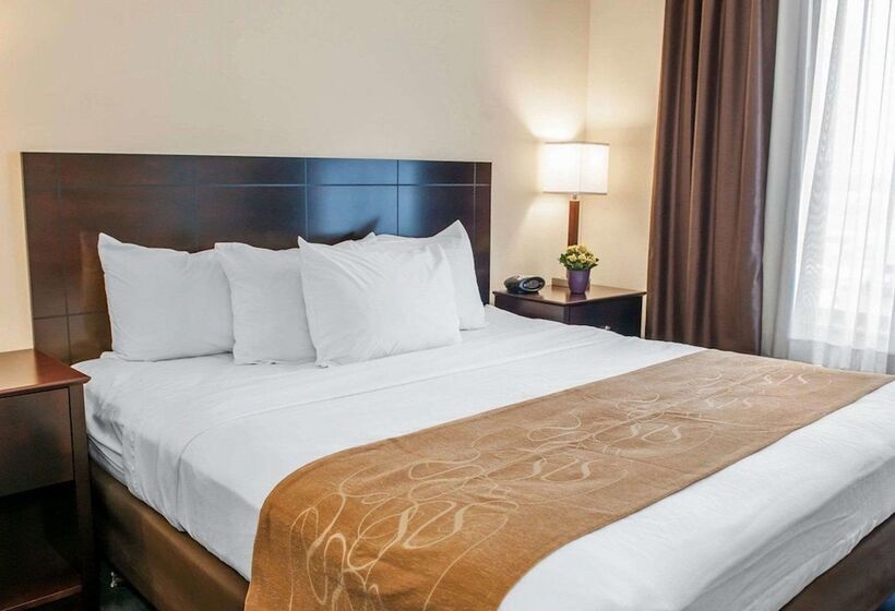 سوییت, Comfort Suites Fort Wayne   Southwest