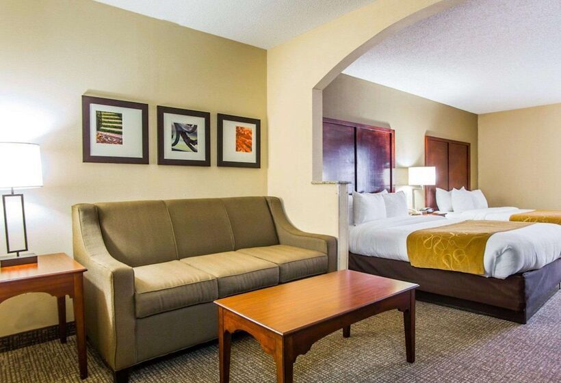 套房, Comfort Suites