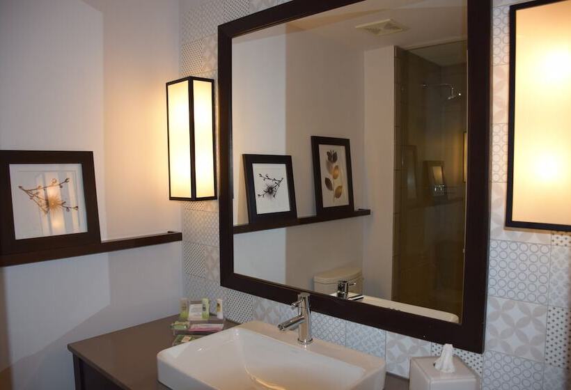 スイート, Country Inn & Suites By Radisson, Bloomington At Mall Of America, Mn