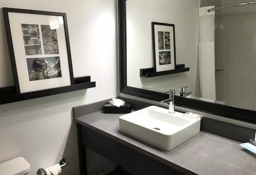 スタンダードルーム, Country Inn & Suites By Radisson, Dalton, Ga