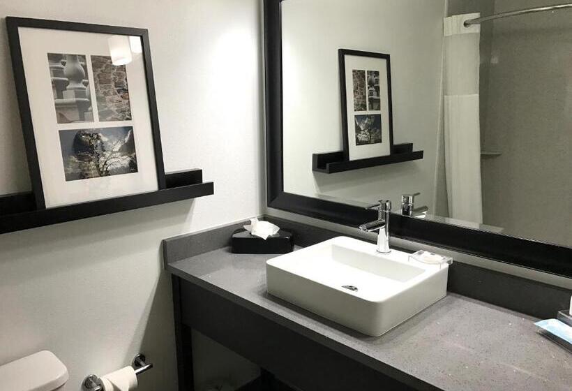 غرفة قياسية لذوى الاحتياجات الخاصة, Country Inn & Suites By Radisson, Dalton, Ga