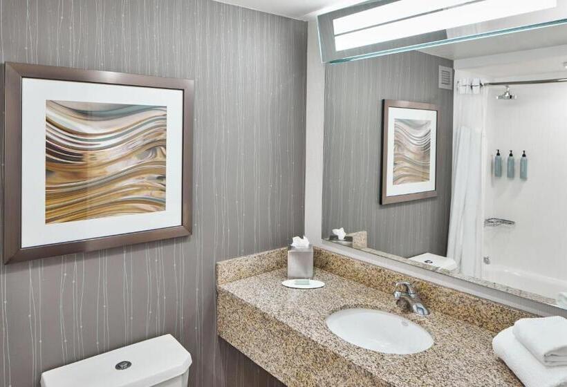 חדר סטנדרט, Courtyard Rochester East/penfield