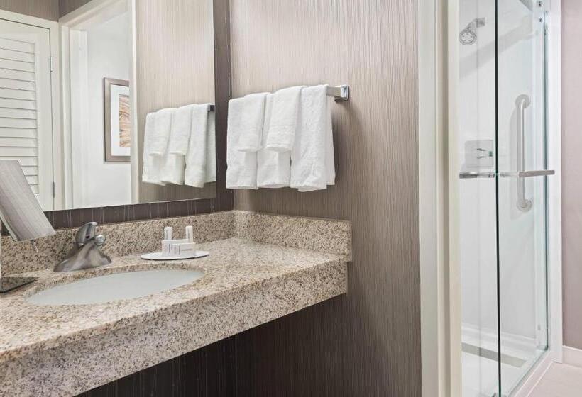 غرفة قياسية لذوى الاحتياجات الخاصة, Courtyard Tampa Downtown