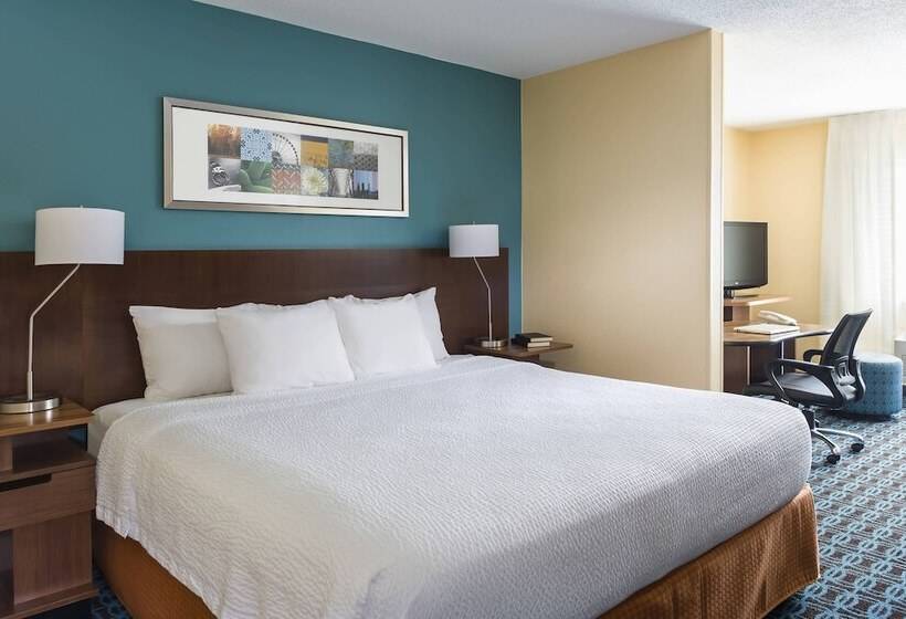 이그제큐티브 스위트, Fairfield Inn & Suites Naperville/aurora