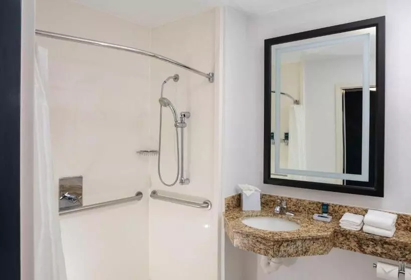 キングサイズベッドのスタンダードルーム, Four Points By Sheraton Memphis East