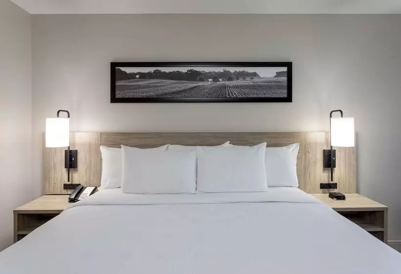 スタンダードルーム, Grandstay Hotel & Suites