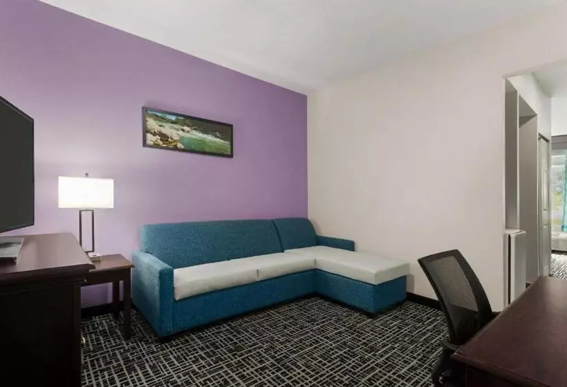 キングサイズベッドのデラックススイート, La Quinta By Wyndham Cookeville