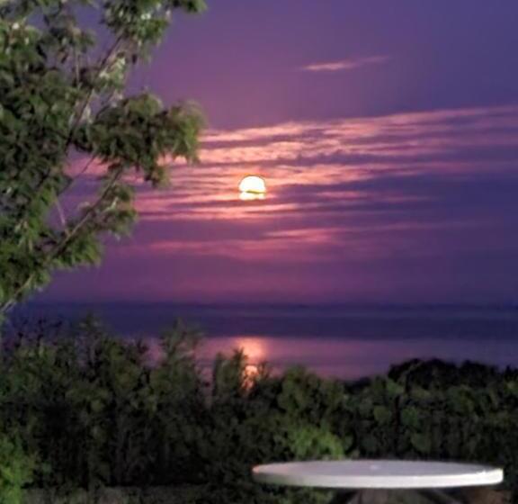 غرفة قياسية مطلّة علي البحر, Tsushima Dae A