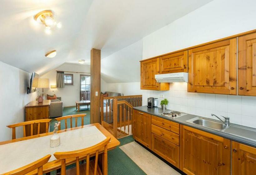 شقة غرفة واحدة ذات إطلالة, Apparthotel Zirbenhof