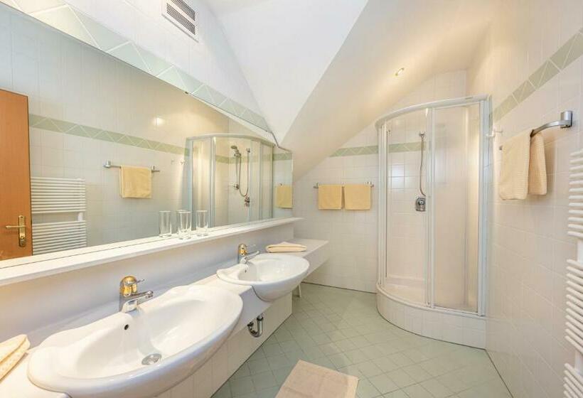 شقة غرفة واحدة ذات إطلالة, Apparthotel Zirbenhof