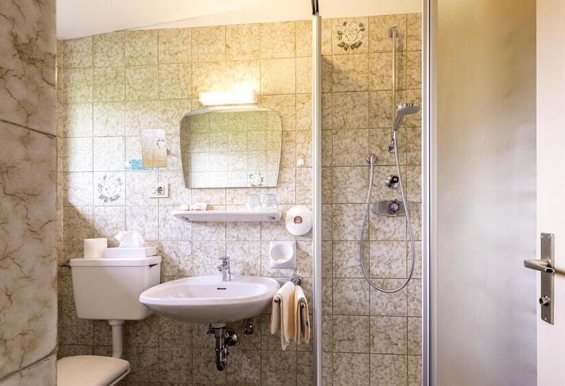 Номер Стандарт с Балконом, Landgasthof Bad Turmbach