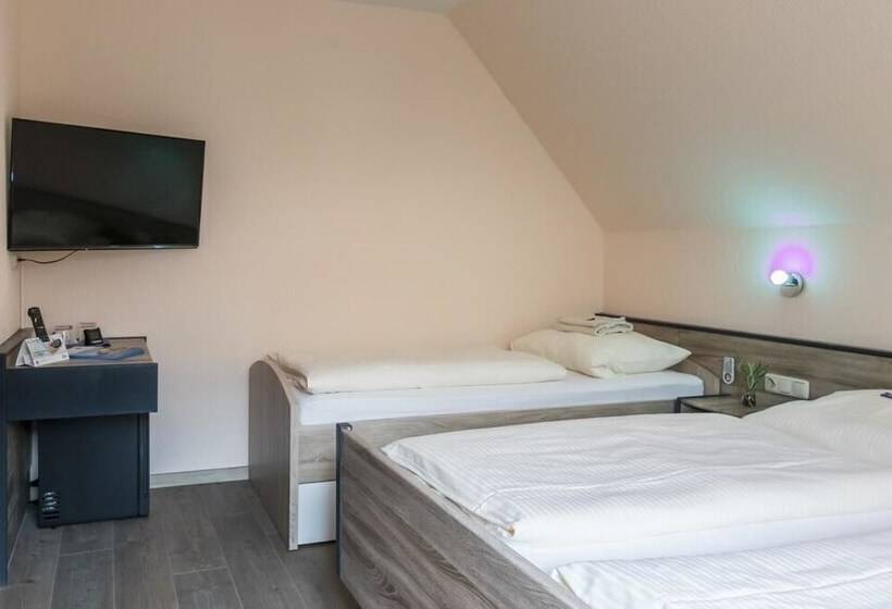 스탠다드 트리플 룸, Pension Central