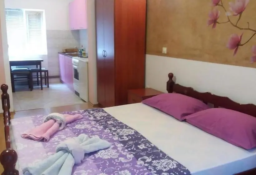 استودیوی استاندارد, Guest House Stankovic