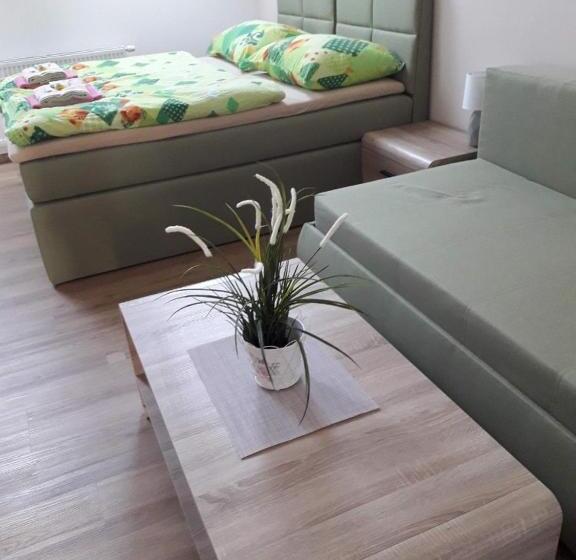 スタンダードルーム, Penzion Na Hrazi