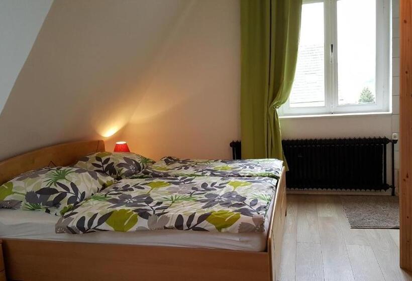 غرفة قياسية, Eifelblümchen