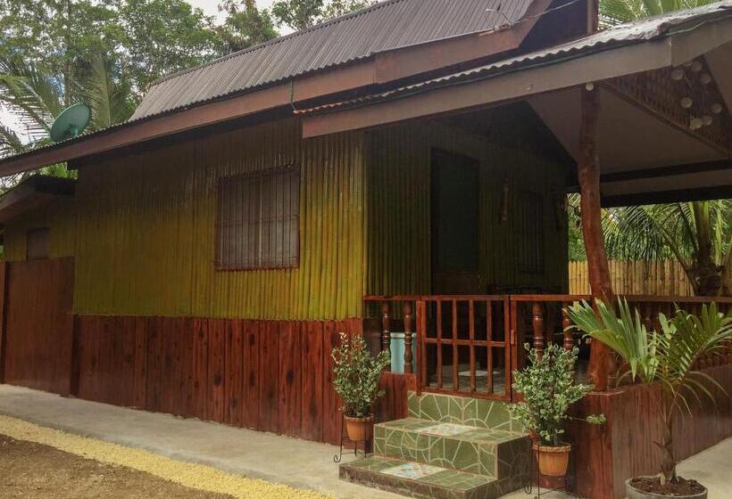 استودیوی استاندارد, Pitaya Native Guest House