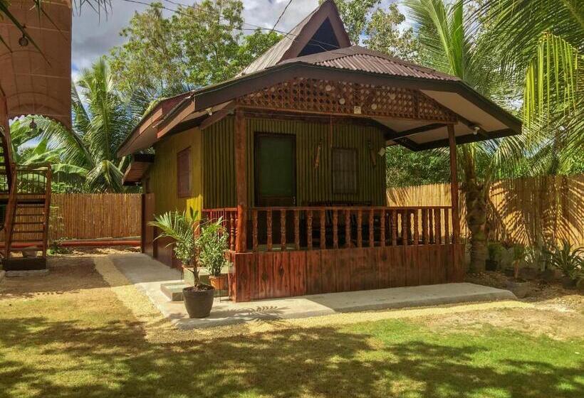 استودیوی استاندارد, Pitaya Native Guest House