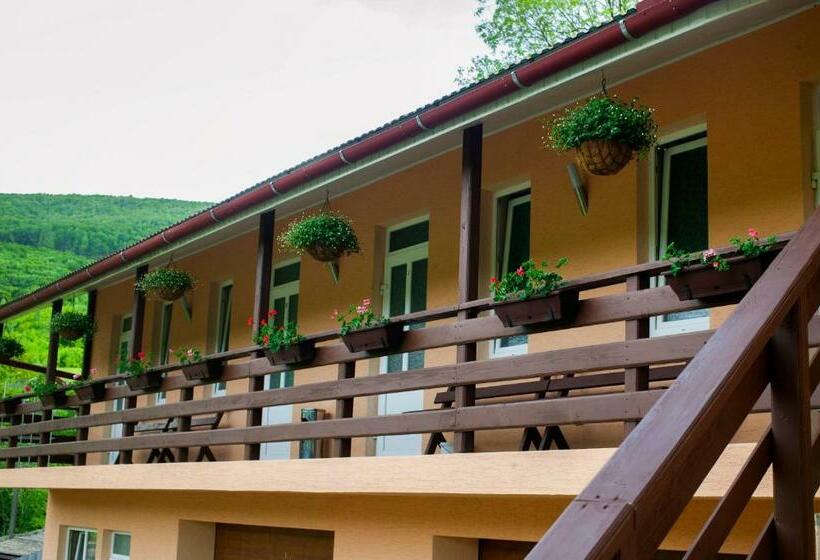 اتاق استاندارد چهار تخته, U Eli