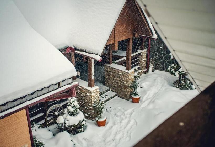 اتاق استاندارد با سرویس بهداشتی مشترک, U Eli