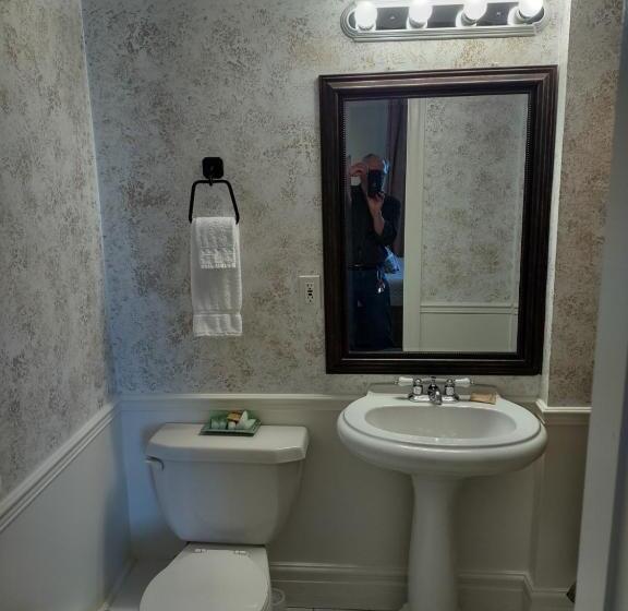 غرفة قياسية مطلّة علي الحديقة, The King George Inn