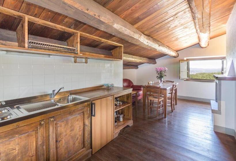 1ベッドルームアパートメント, La Conca