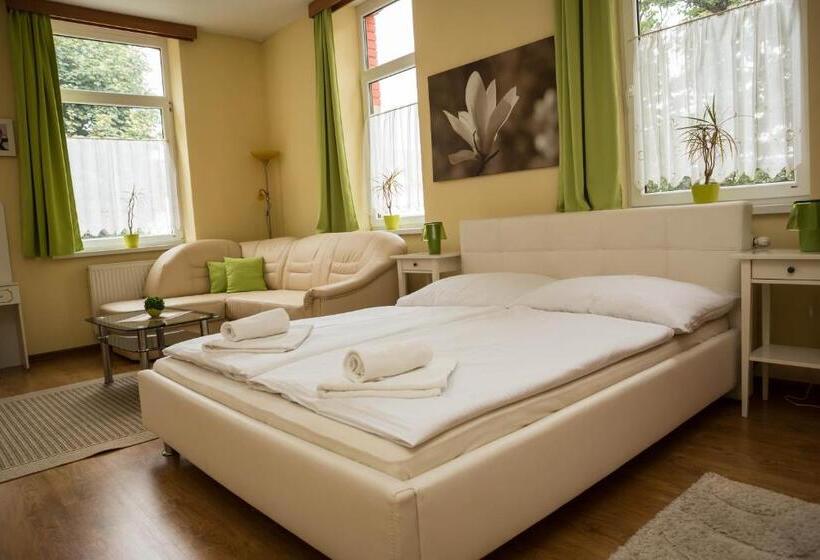 غرفة ديلوكس, Penzion Burra