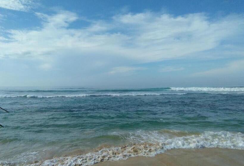 ベーシックルーム, Rainbow Surf Beach