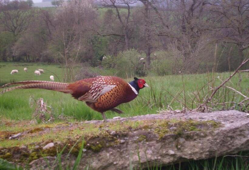 ガーデンビュースタンダードルーム, Smithfield Farm Bed & Breakfast