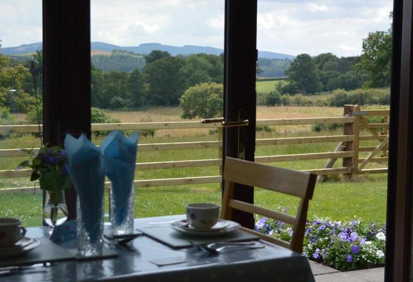 Люкс Superior, Smithfield Farm Bed & Breakfast