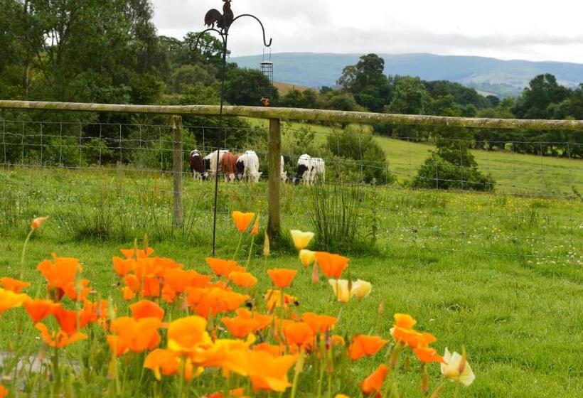 スーペリアースイート, Smithfield Farm Bed & Breakfast