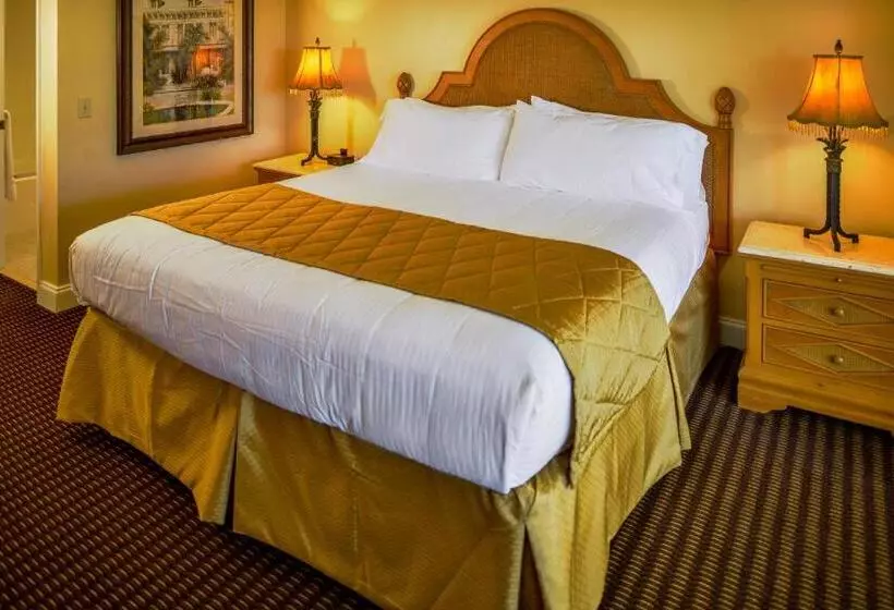 ２ベッドルームアパートメント, Charter Club Resort Of Naples Bay