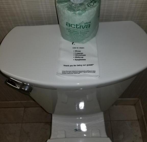 Standard Værelse, Chelsea Inn