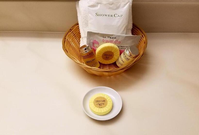 غرفة قياسية سرير كينج, Chelsea Inn