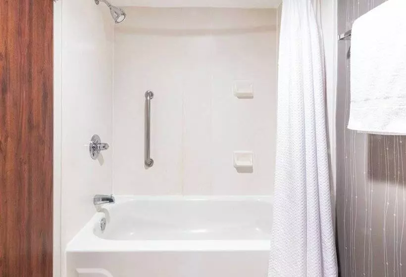 ２ダブルベッドのスタンダードルーム, Courtyard By Marriott Bloomington