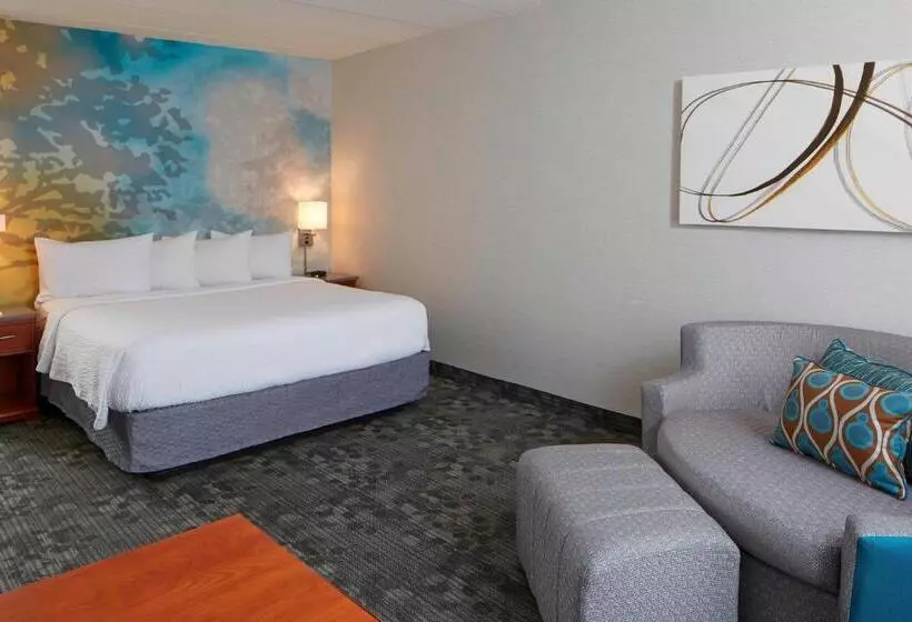 اتاق استاندارد با تخت بزرگ, Courtyard By Marriott Bloomington Mall Of America