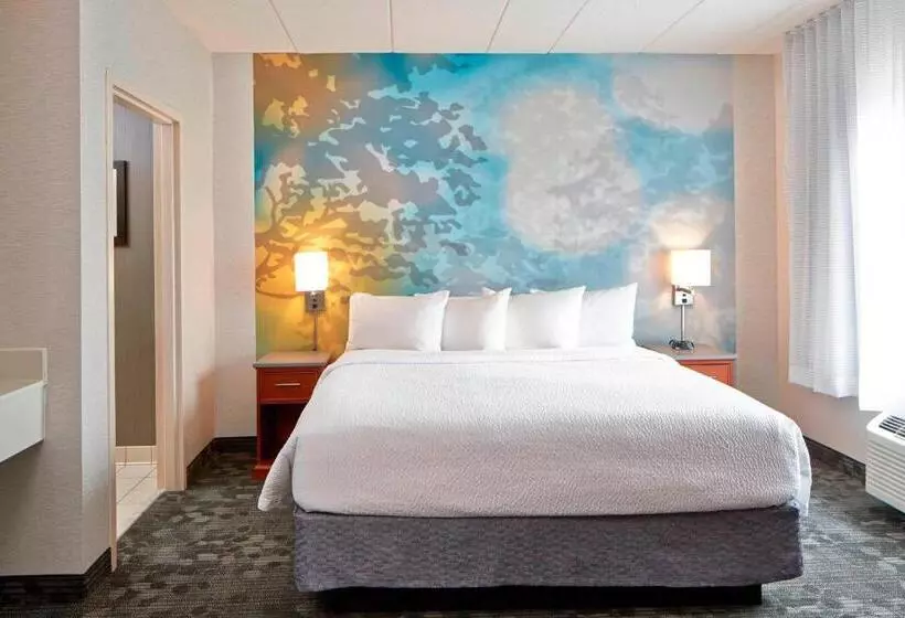 سوئیت با تخت بزرگ, Courtyard By Marriott Bloomington Mall Of America