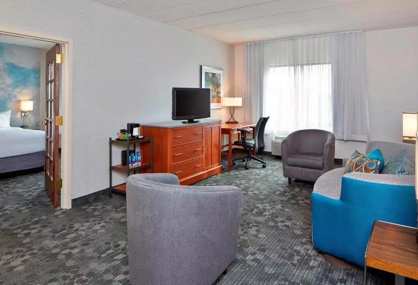 سوئیت با تخت بزرگ, Courtyard By Marriott Bloomington Mall Of America