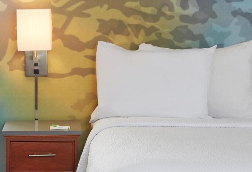 身障者適用キングサイズベッドルーム, Courtyard By Marriott Bloomington Mall Of America