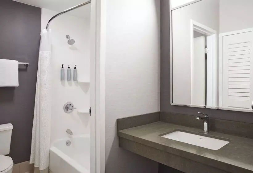 اتاق استاندارد با 2 تخت دوبل, Courtyard By Marriott St. Louis Downtown West