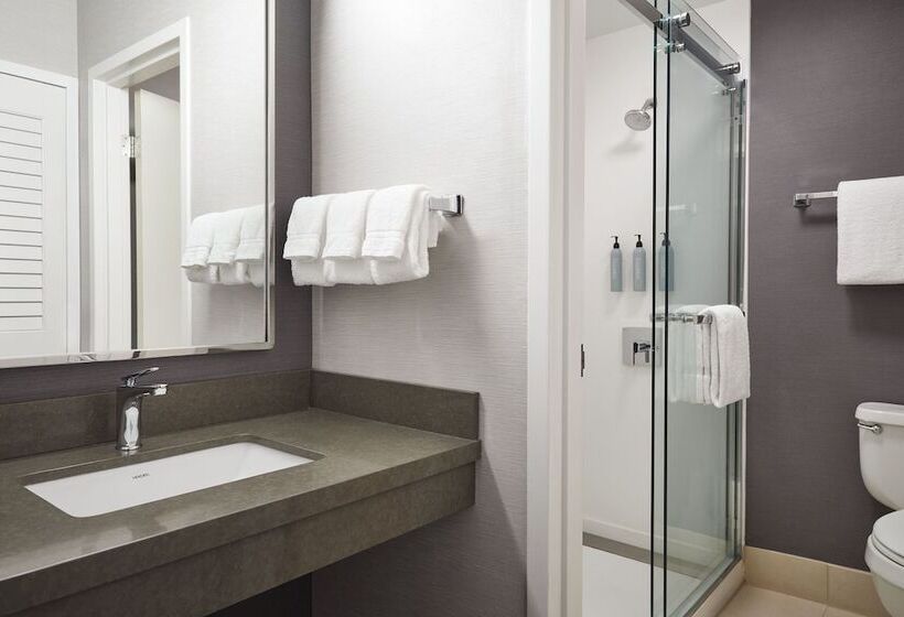 جناح, Courtyard By Marriott St. Louis Downtown West