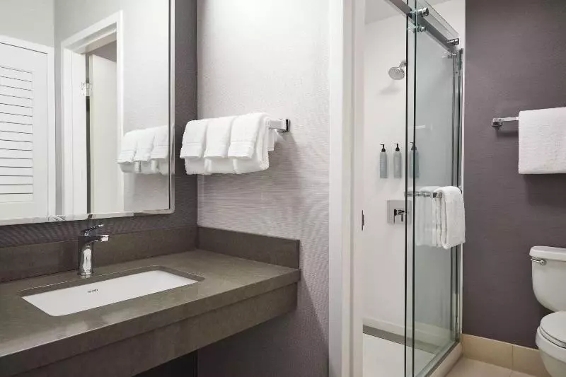 سوئیت با تخت بزرگ, Courtyard By Marriott St. Louis Downtown West